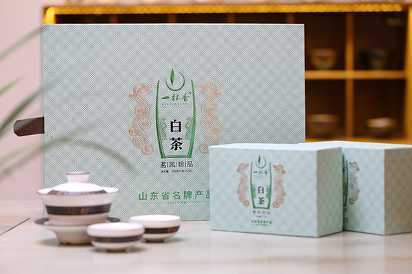 一杯香白茶之茗鳳珍品