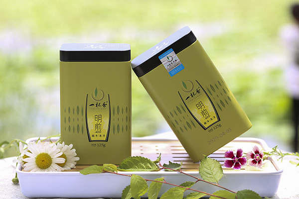 一杯香龍井茶之明前400
