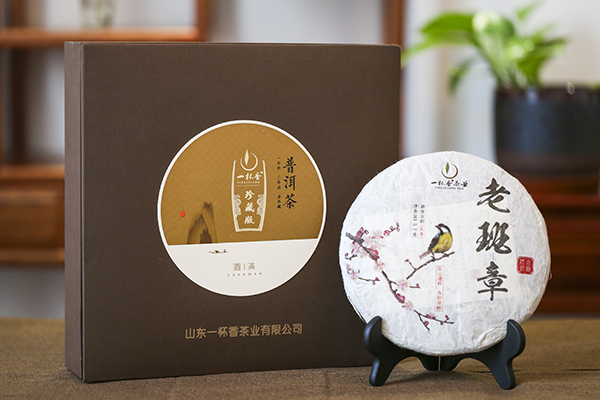 老班章勐海古樹（熟）3#