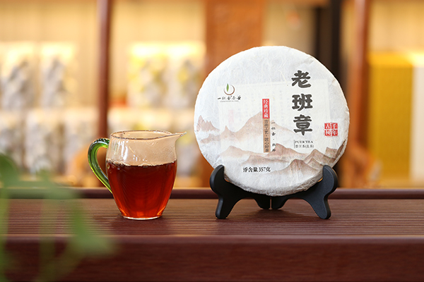 老班章（千年古樹）（生）6#