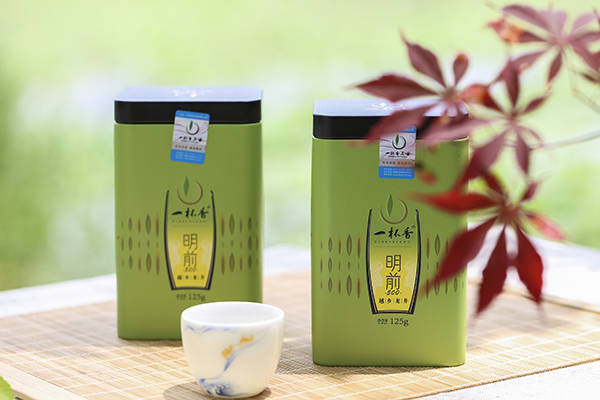 一杯香龍井茶之明前500