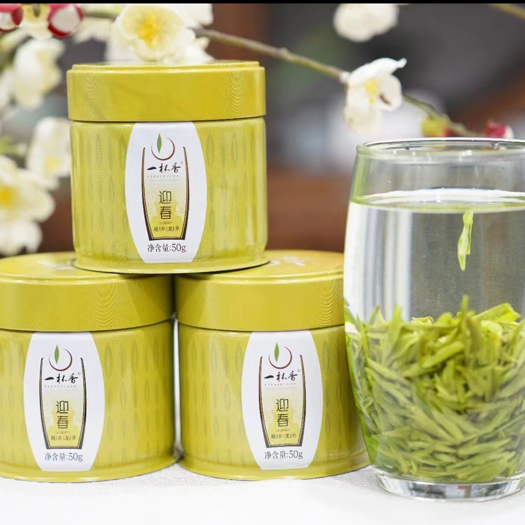 一杯香龍井茶之迎春1500